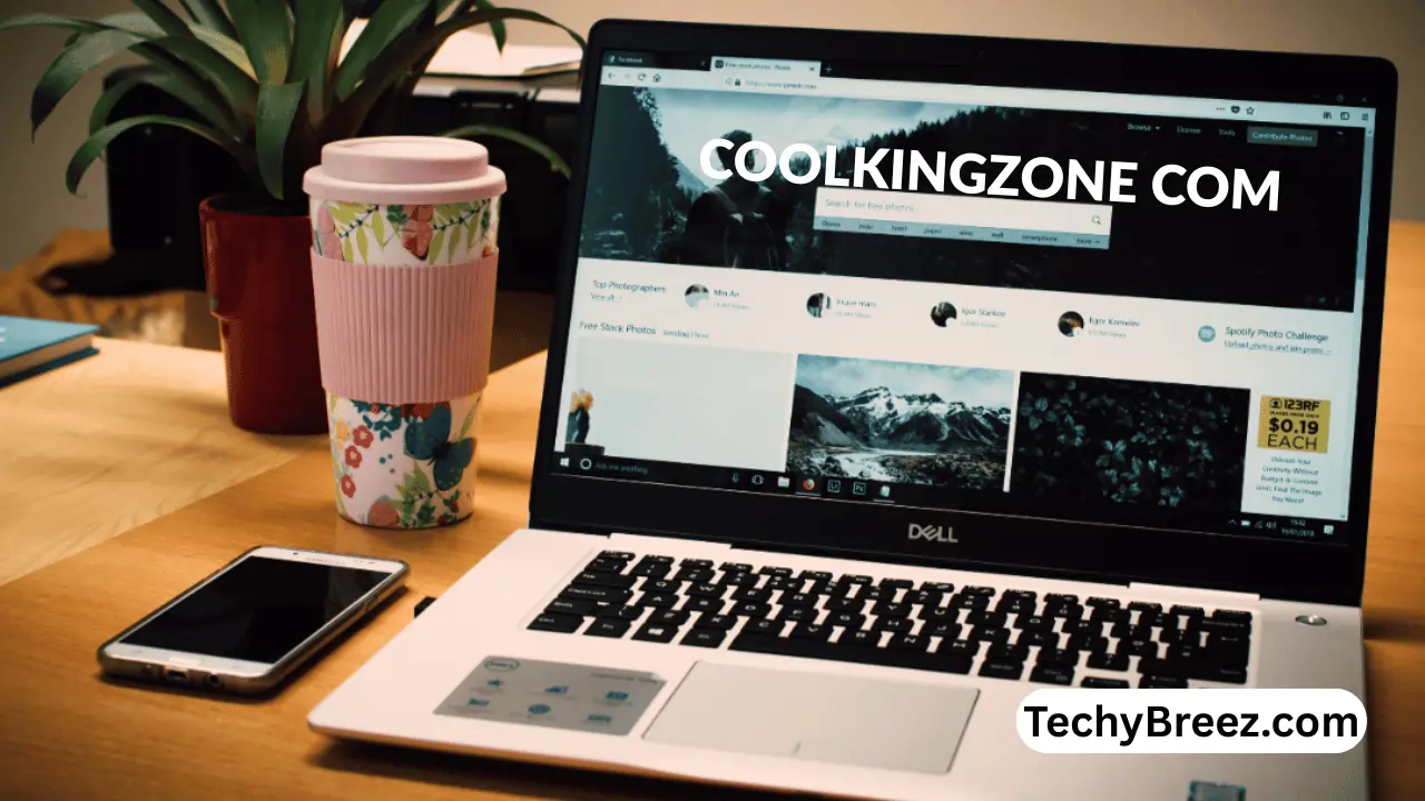coolkingzone com