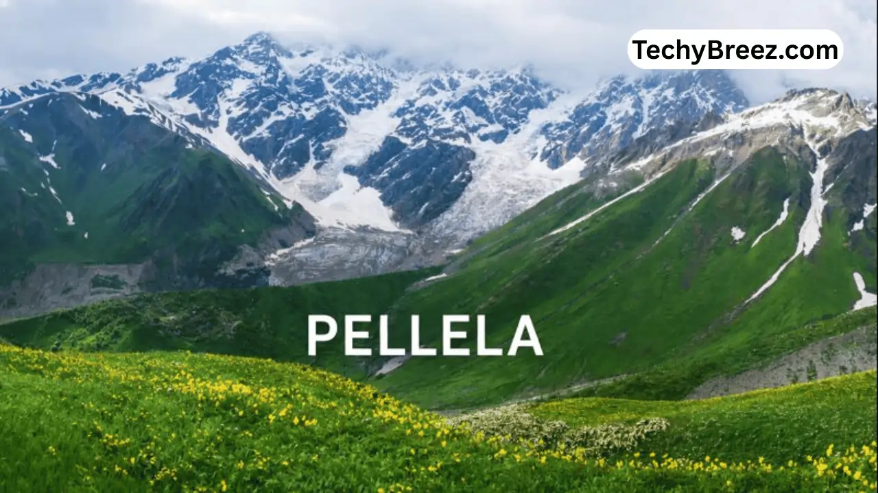 pellela