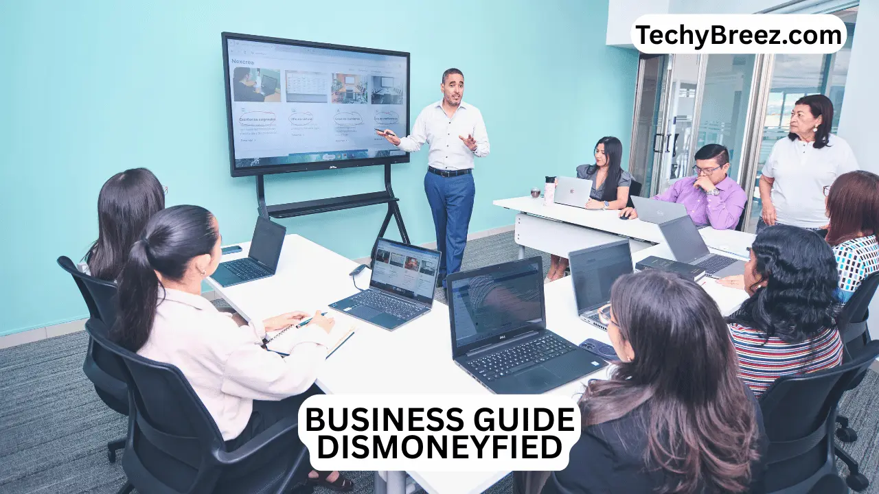 business guide dismoneyfied