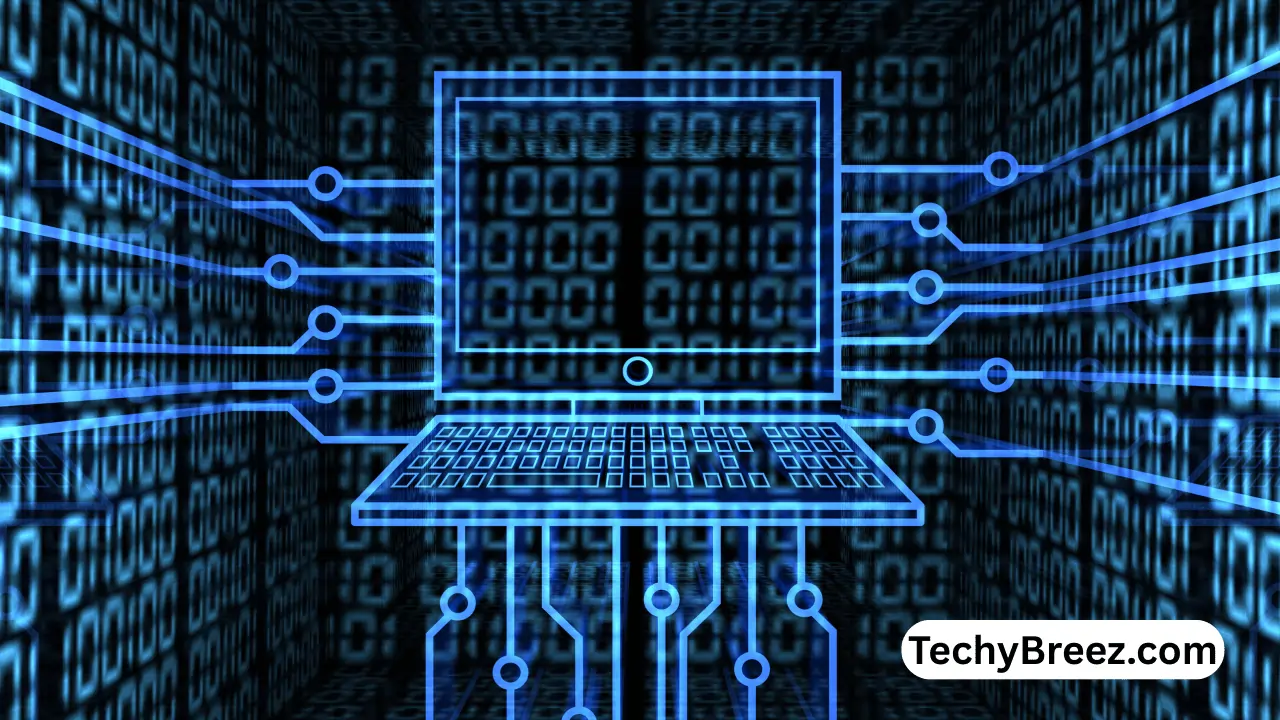 insights logicalshout